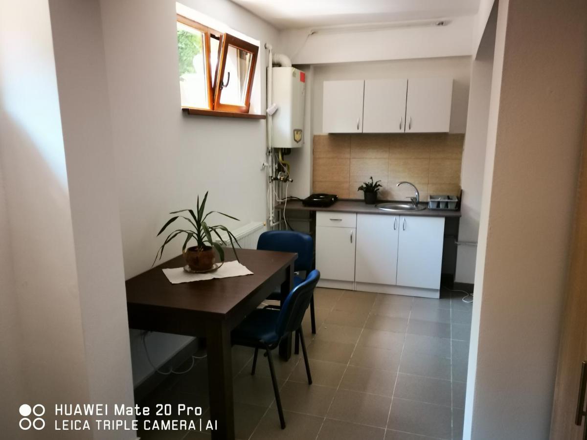 Cluj City Marasti Apartament 2 Ngoại thất bức ảnh